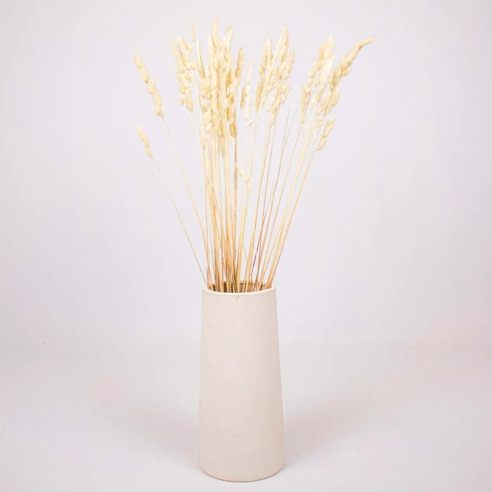 Bleached Dried Orchad Flower Bunch in Vase