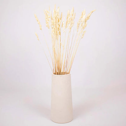 Bleached Dried Orchad Flower Bunch in Vase