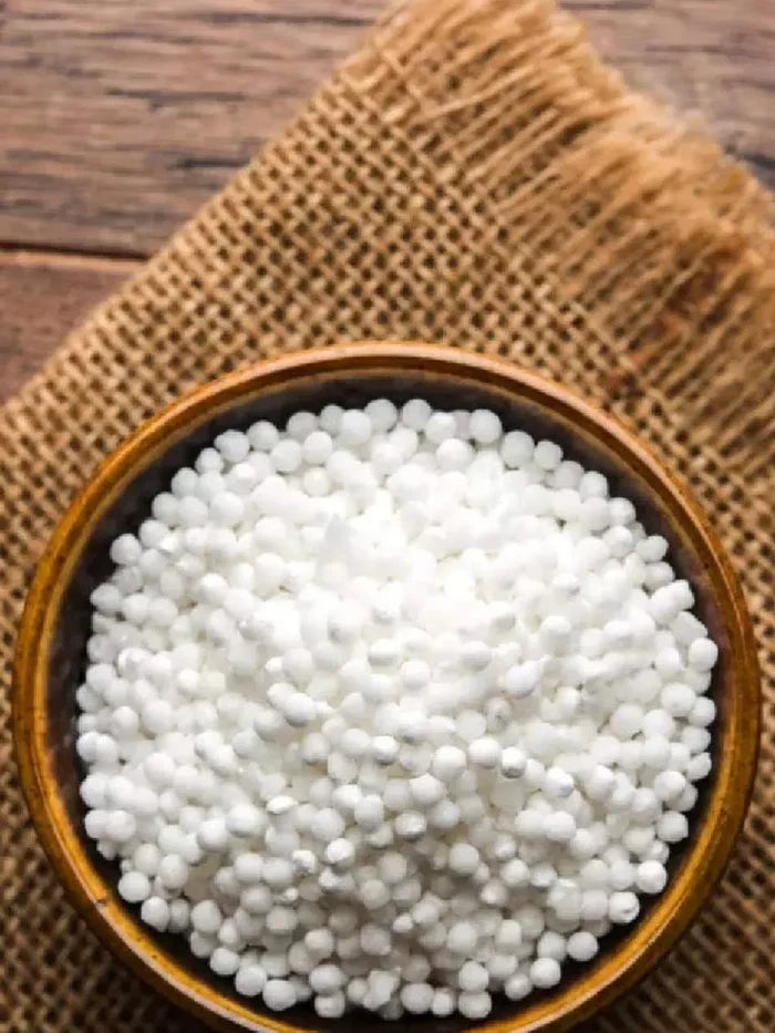 Navratri Special : Sabudana