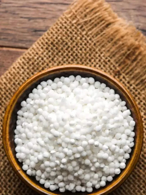 Navratri Special : Sabudana