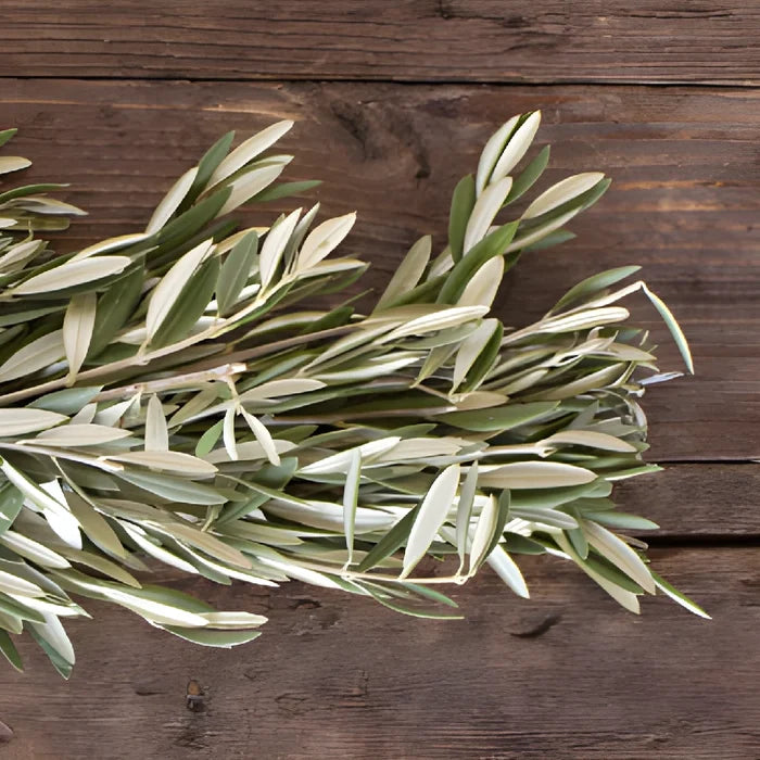 Olive Greens Garland
