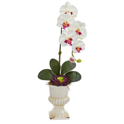 Orchid and Succulent Artificial Arrangement in Urn