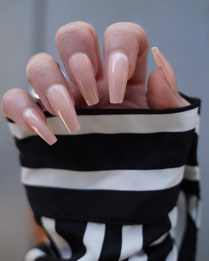 Pale Rose