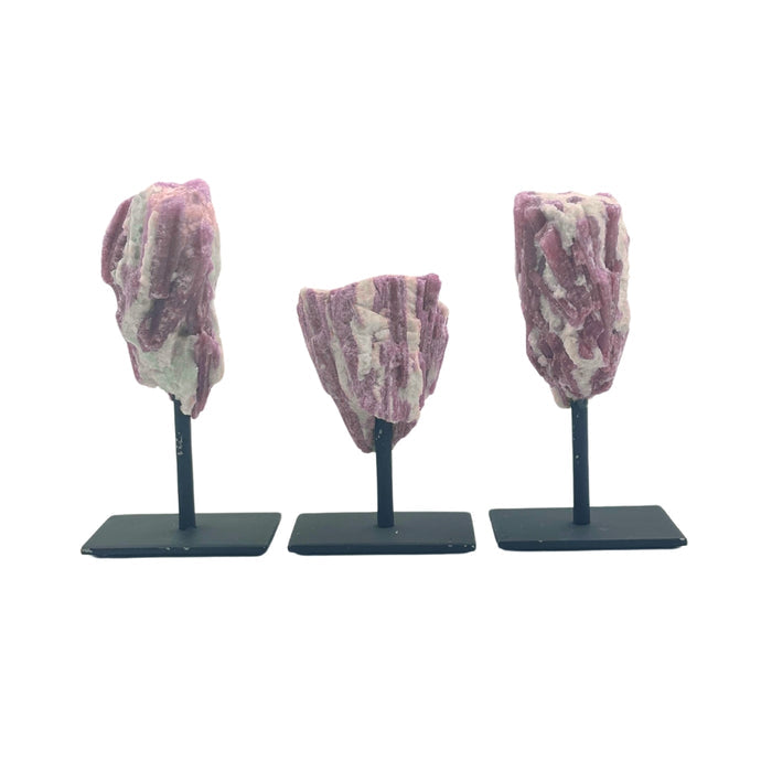 Three Pink Tourmaline on Stand on black stands against a white background