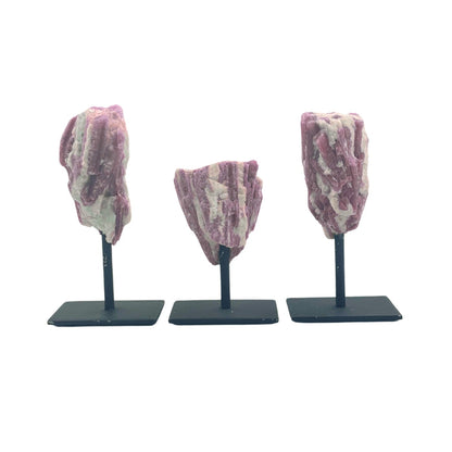 Three Pink Tourmaline on Stand on black stands against a white background