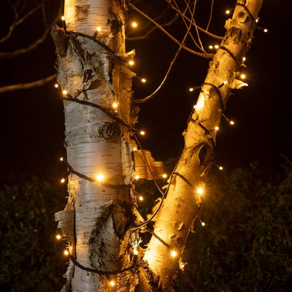 PR50YWB_Warm-White-Christmas-Tree-Lights-Outdoor-Close_94fcb131-7f89-4be4-8c0b-c46da7427d79.jpg