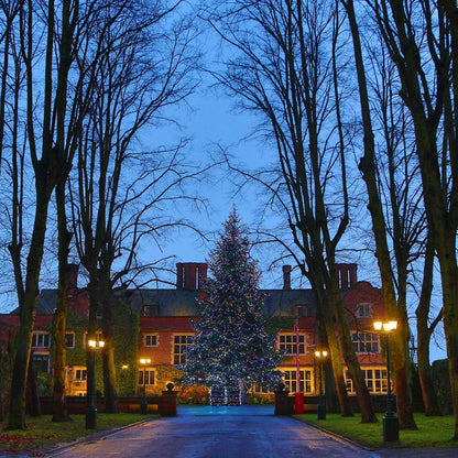 PR50MB_Huge-Christmas-Tree-with-multi-coloured-lights-queen-ethelburgas_P7_1cda1889-a389-4376-86c5-fa077ccb8c84.jpg