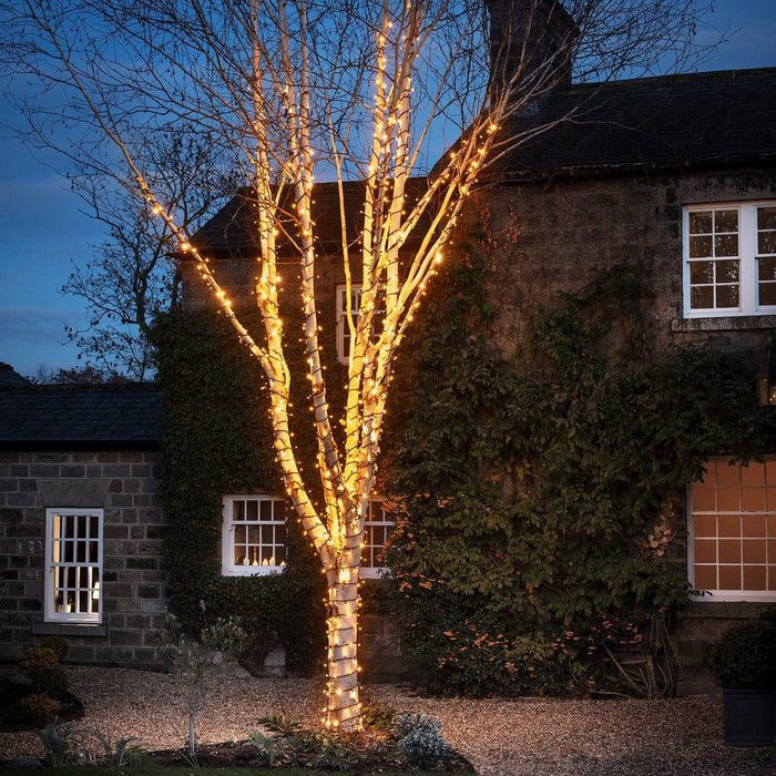 PR50YWB_Warm-White-Outdoor-String-Lights-Black-Cable-Tree_af6edc56-8791-4920-bd9b-5a9a5482792b.jpg