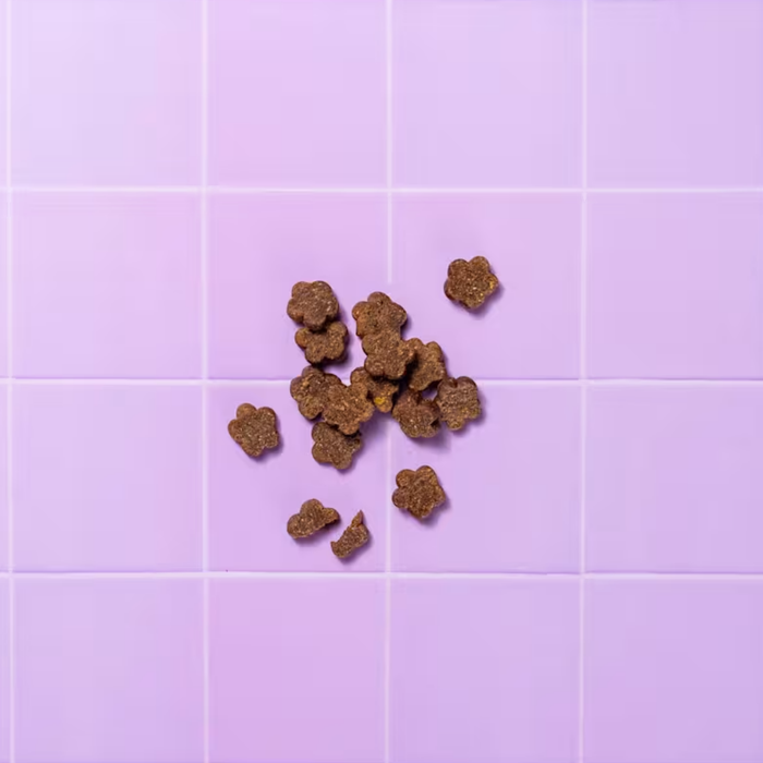 A small pile of brown paw-shaped pet treats scattered on a lavender purple tiled background.