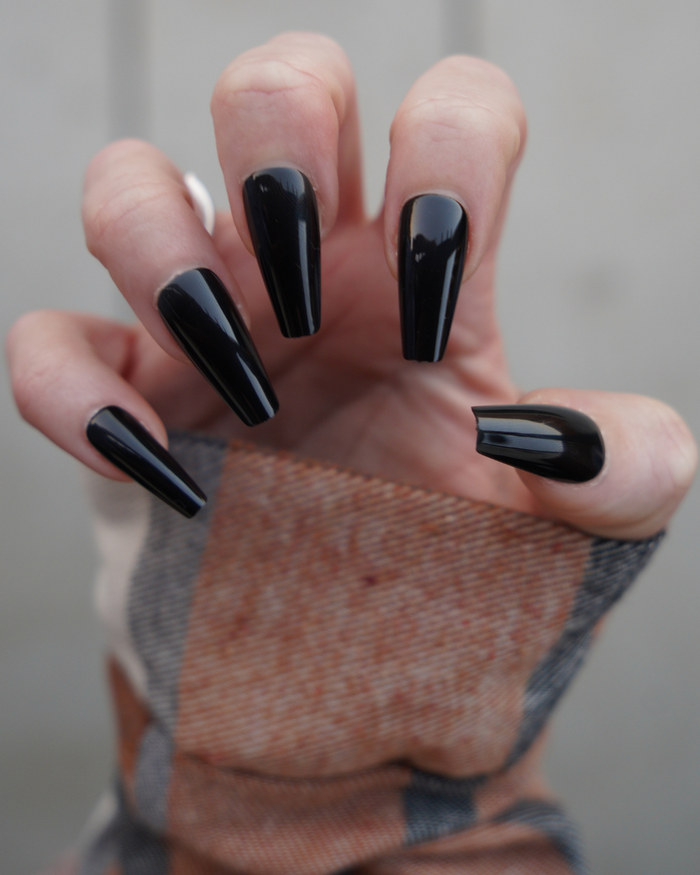 Raven Noir