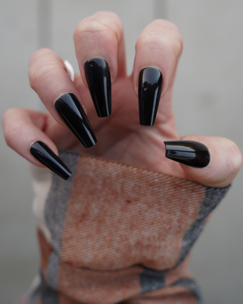 Raven Noir