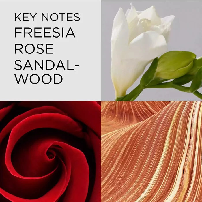 Key Notes: Freesia, Rose, Sandalwood
