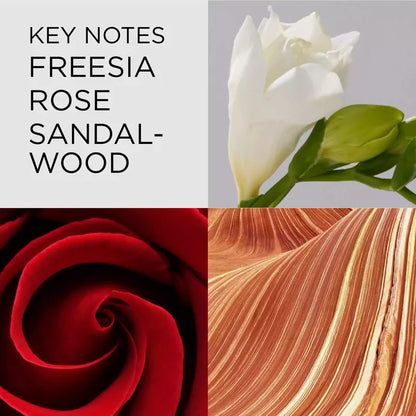 Key Notes: Freesia, Rose, Sandalwood