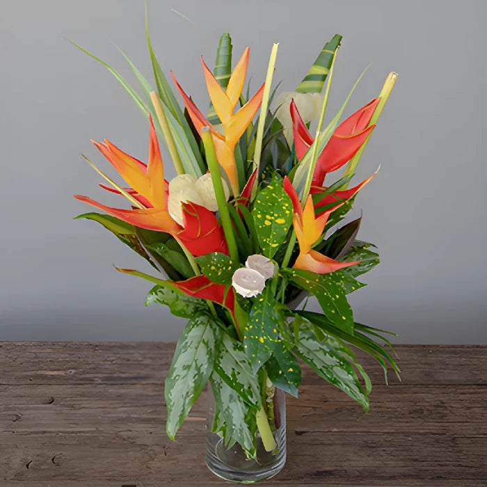 Red Heliconia Tropical DIY Flower Kit In a Vase