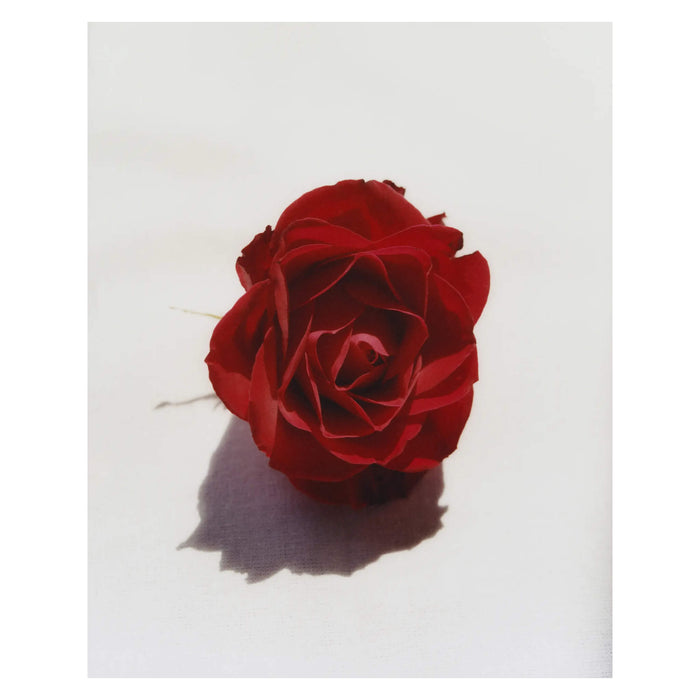 Monastery Cleansing Oil Ingredient - Rose