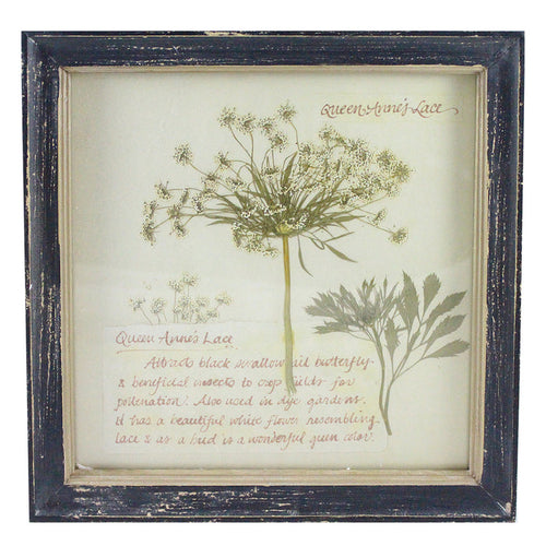 Rustic Wood Framed Queen Anne's Lace Flower Wall Decor