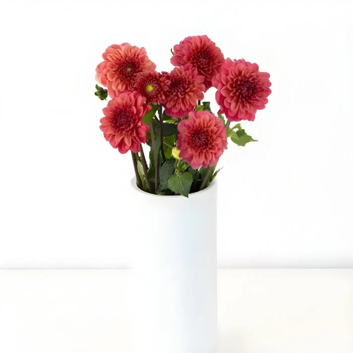 Salmon Dahlia Flower Vase - Image