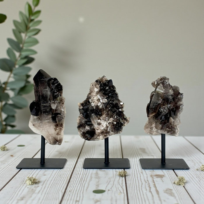 Smoky Quartz Cluster on Stand