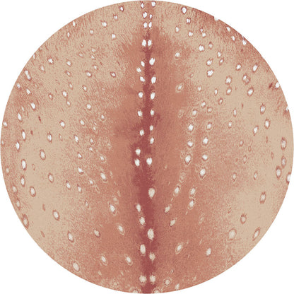 Image of an area rug, Spotted Hide - Blush