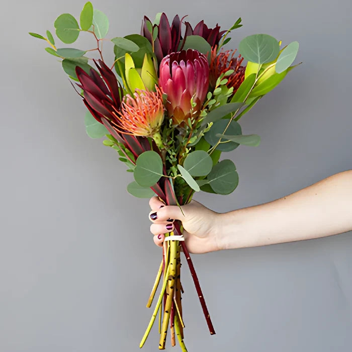 Scarlet Ribbon Red Tropical Wholesale DIY Flower Kit In a Hand