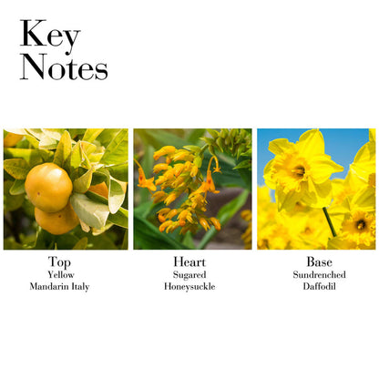 Key Notes- Top Yellow Mandarin Italy, Heart Sugared Honeysuckle, Base Sundrenched Daffodil