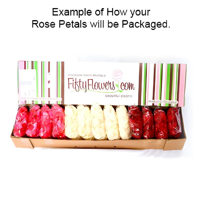 Terracotta Real Roses Petals