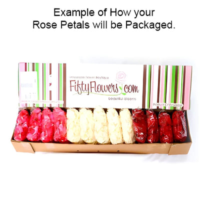 Terracotta Real Roses Petals