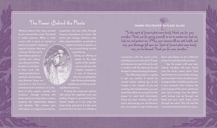 The Good Witch's Guide By Shawn Robbins
