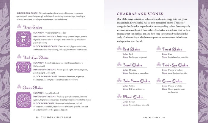 The Good Witch's Guide By Shawn Robbins