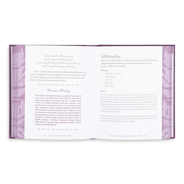 The Good Witch's Guide By Shawn Robbins