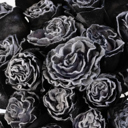 Tinted Black Fuzzy Roses Close Up - Image