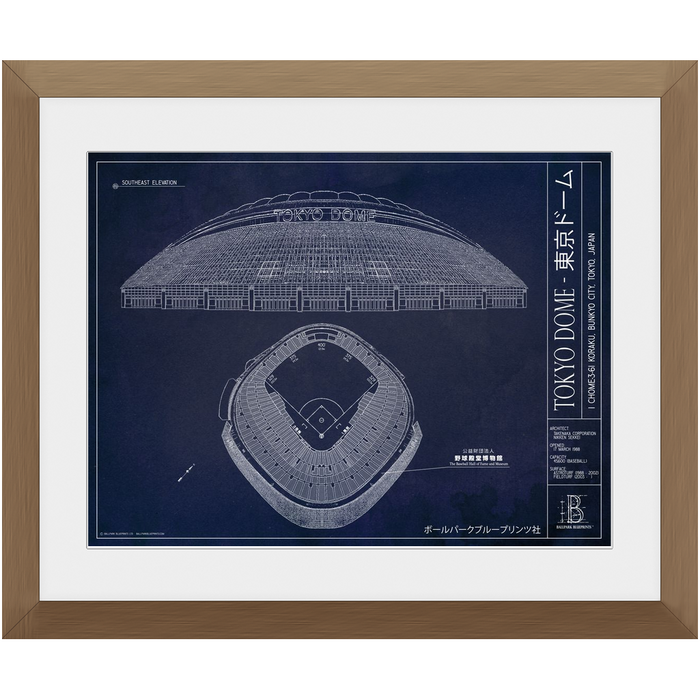 Tokyo Dome - Yomiuri Giants