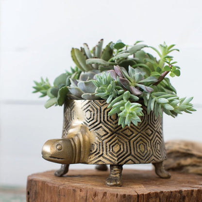 Tommie The Turtle Planter