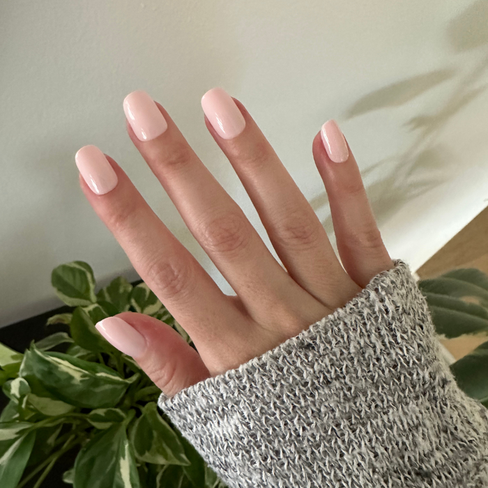 Tutu | Short | Squoval - Tab Press-On soft pastel pink false nails on hand wearing cozy sweater indoors with plants