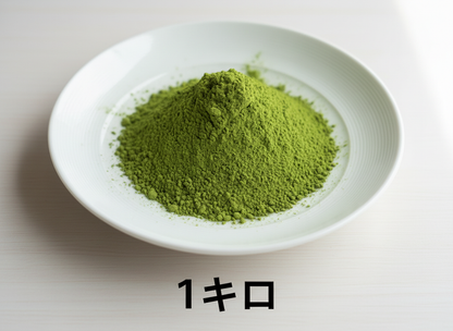 宿/yadori