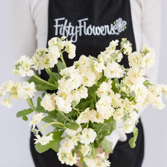 Yellow Fragrant Spray Stock Flower