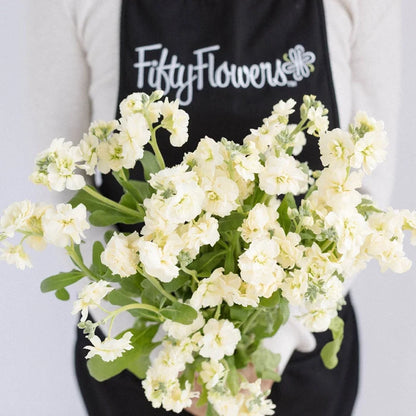 Yellow Fragrant Spray Stock Flower